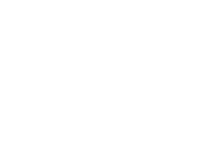 delonika bisness shadow logo wt