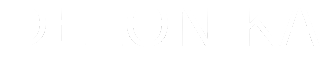 delonika bisness shadow logo wt2